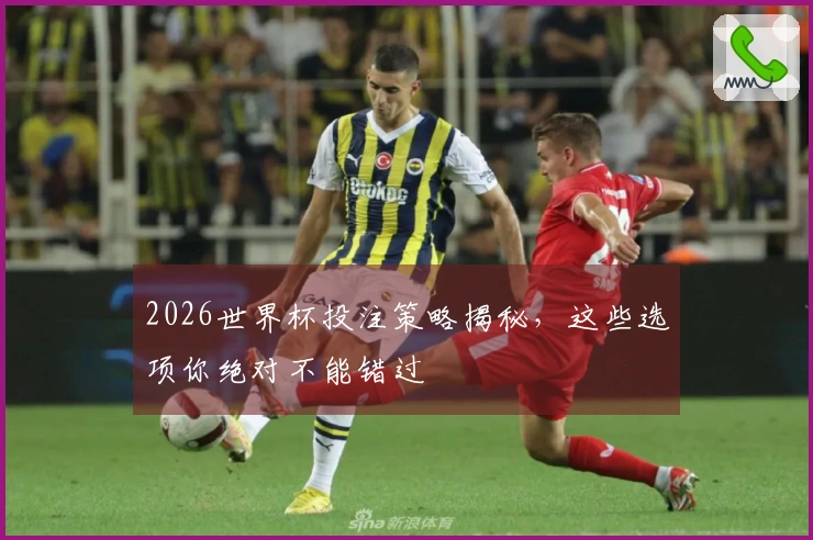 2026世界杯投注策略揭秘，这些选项你绝对不能错过