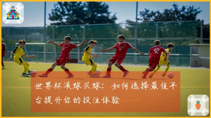 世界杯滚球买球：如何选择最佳平台提升你的投注体验